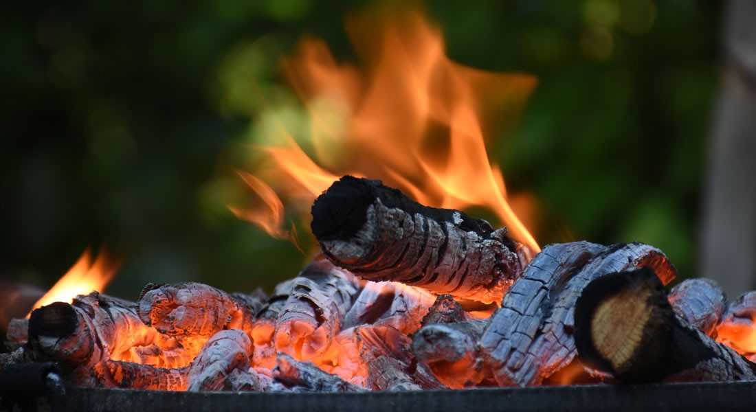 Grillen im großen Garten © Shutterstock